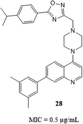 Recent advances in functionalized quinoline scaffolds and hybrids—Exceptional pharmacophore in therapeutic medicine